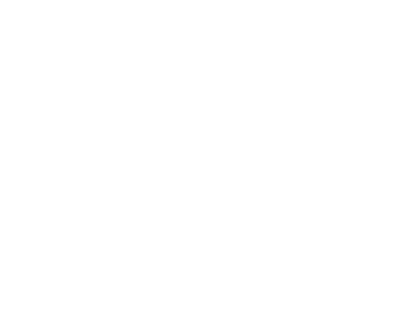 Auxiliares