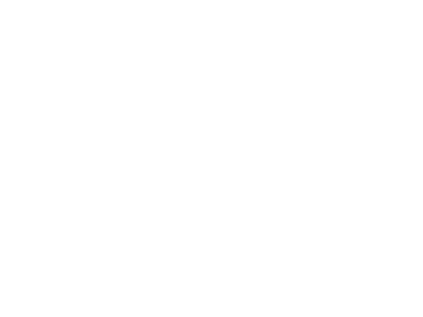 UV Printer